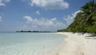 DSC07487.JPG