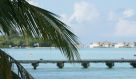 DSC07666.JPG