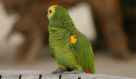 DSC08222.jpg