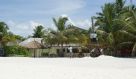 DSC08698.JPG