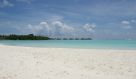 DSC08705.JPG