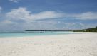 DSC08706.JPG