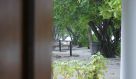 DSC08913.JPG
